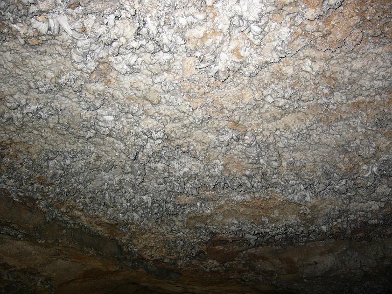 Gypsum on the ceiling.JPG